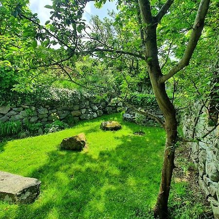 巴茅思The Hayloft Llwyndu公寓 外观 照片